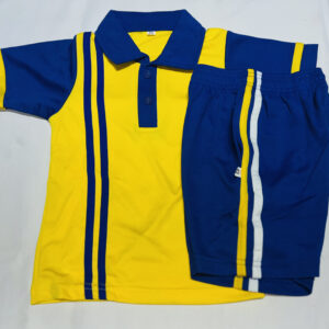 Designer T-shirt with strips
