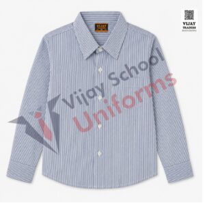 Blue Striped Full Sleeve School Uniform Shirt